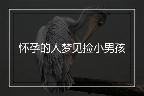 怀孕的人梦见捡小男孩