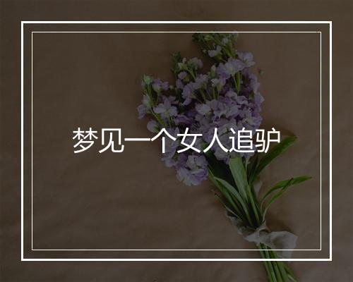 梦见一个女人追驴