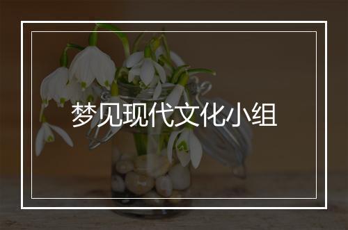 梦见现代文化小组