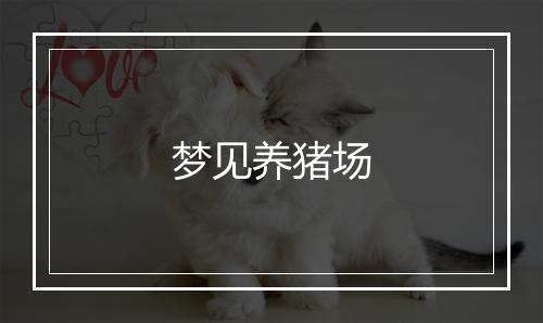 梦见养猪场