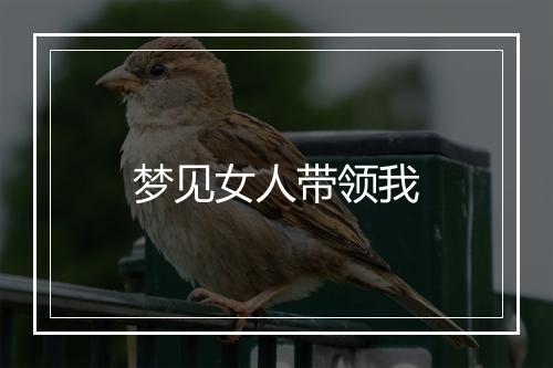 梦见女人带领我