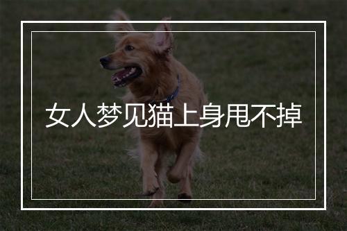 女人梦见猫上身甩不掉