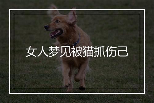 女人梦见被猫抓伤己