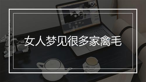 女人梦见很多家禽毛