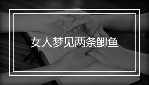 女人梦见两条鲫鱼