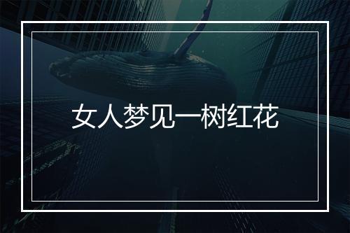 女人梦见一树红花