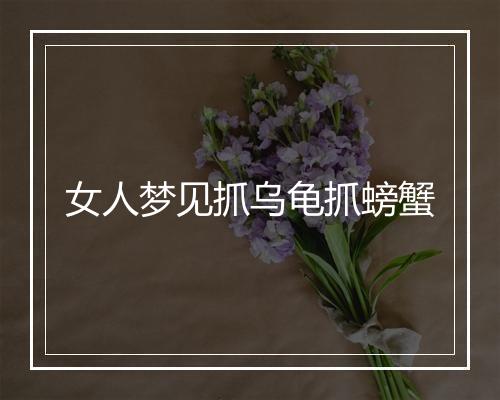 女人梦见抓乌龟抓螃蟹