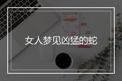 女人梦见凶猛的蛇