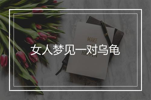 女人梦见一对乌龟