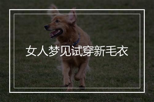 女人梦见试穿新毛衣