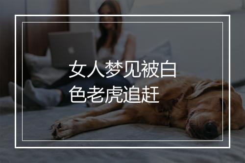 女人梦见被白色老虎追赶