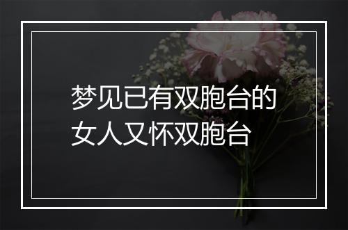 梦见已有双胞台的女人又怀双胞台