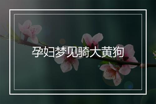 孕妇梦见骑大黄狗