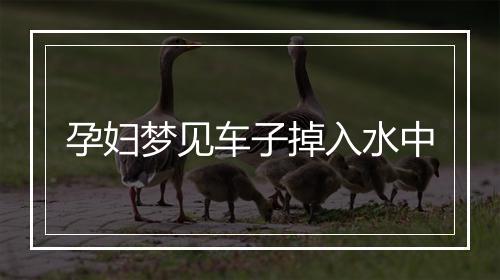 孕妇梦见车子掉入水中