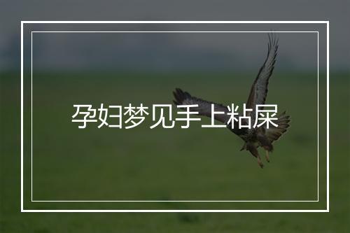 孕妇梦见手上粘屎