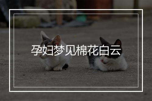 孕妇梦见棉花白云