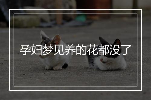 孕妇梦见养的花都没了