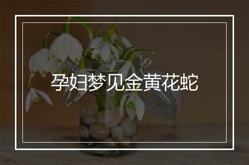 孕妇梦见金黄花蛇