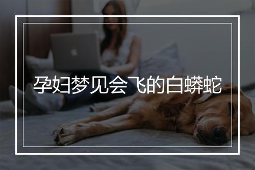 孕妇梦见会飞的白蟒蛇