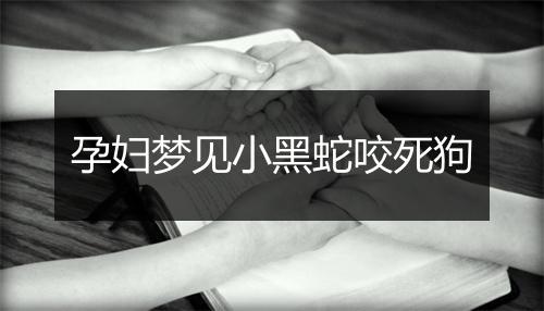 孕妇梦见小黑蛇咬死狗