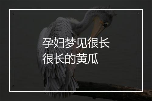 孕妇梦见很长很长的黄瓜