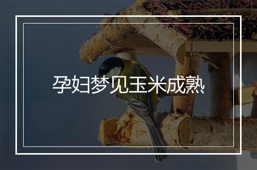 孕妇梦见玉米成熟