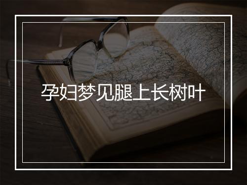 孕妇梦见腿上长树叶