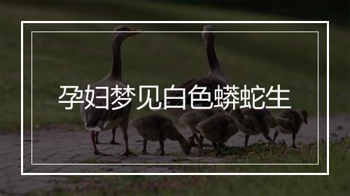 孕妇梦见白色蟒蛇生