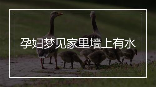 孕妇梦见家里墙上有水