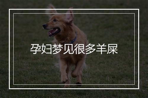 孕妇梦见很多羊屎