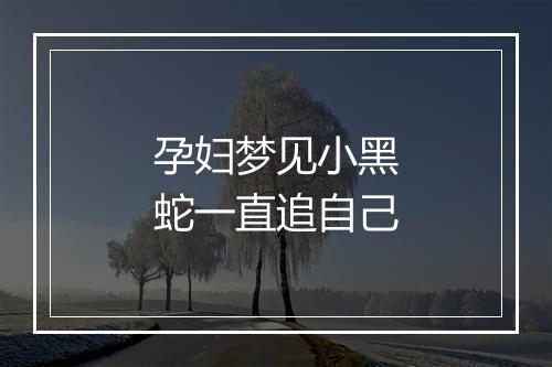 孕妇梦见小黑蛇一直追自己