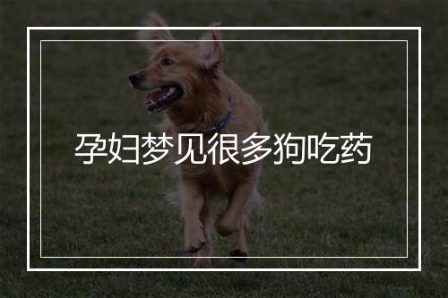 孕妇梦见很多狗吃药