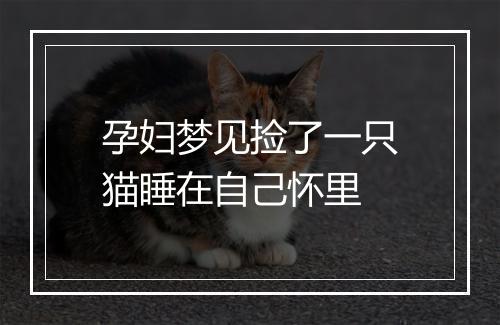 孕妇梦见捡了一只猫睡在自己怀里