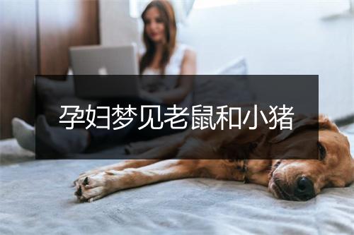 孕妇梦见老鼠和小猪