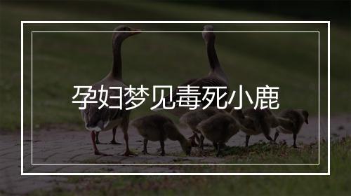 孕妇梦见毒死小鹿