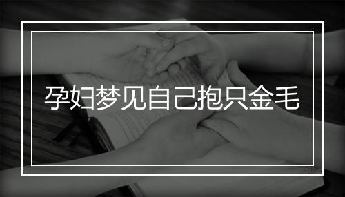 孕妇梦见自己抱只金毛