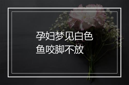 孕妇梦见白色鱼咬脚不放