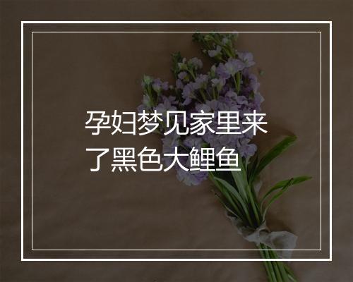 孕妇梦见家里来了黑色大鲤鱼