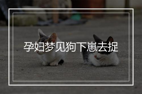 孕妇梦见狗下崽去捉