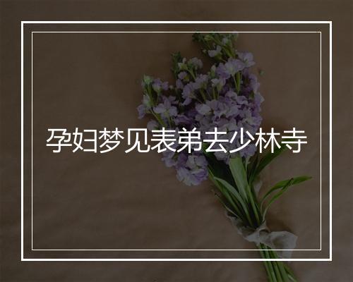 孕妇梦见表弟去少林寺