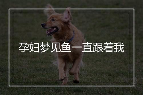 孕妇梦见鱼一直跟着我