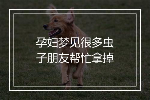 孕妇梦见很多虫子朋友帮忙拿掉