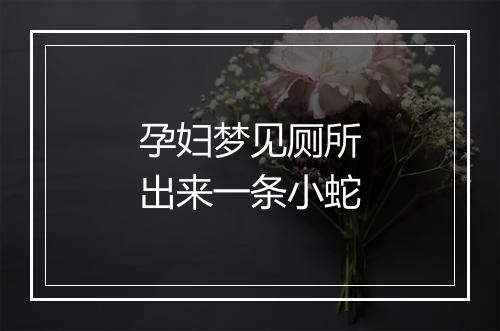 孕妇梦见厕所出来一条小蛇