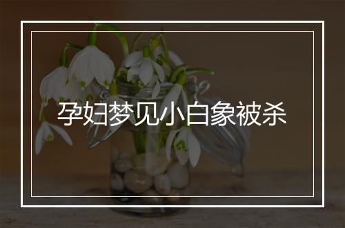 孕妇梦见小白象被杀