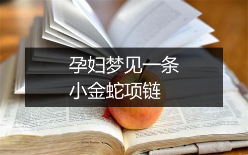 孕妇梦见一条小金蛇项链