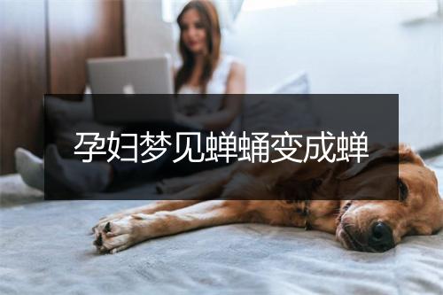 孕妇梦见蝉蛹变成蝉