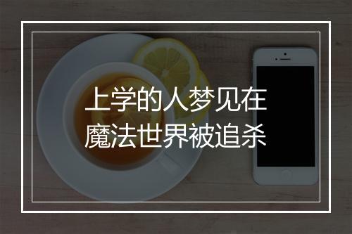 上学的人梦见在魔法世界被追杀