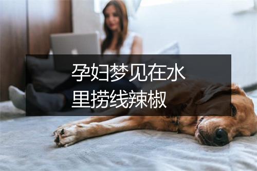 孕妇梦见在水里捞线辣椒