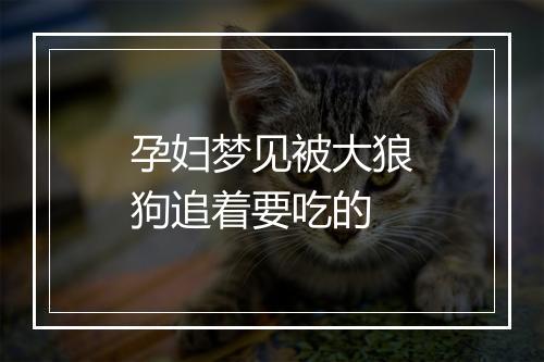 孕妇梦见被大狼狗追着要吃的