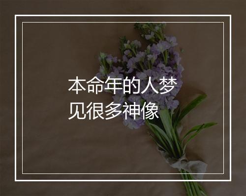 本命年的人梦见很多神像